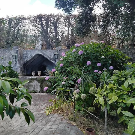 Quinta In The Florest Of Sintra * كولاريس