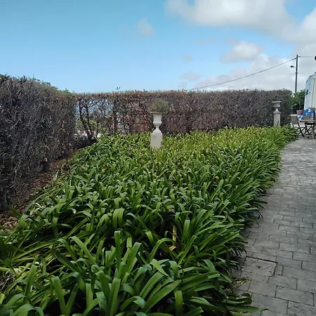 Quinta In The Florest Of Sintra
