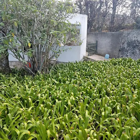 Quinta In The Florest Of Sintra